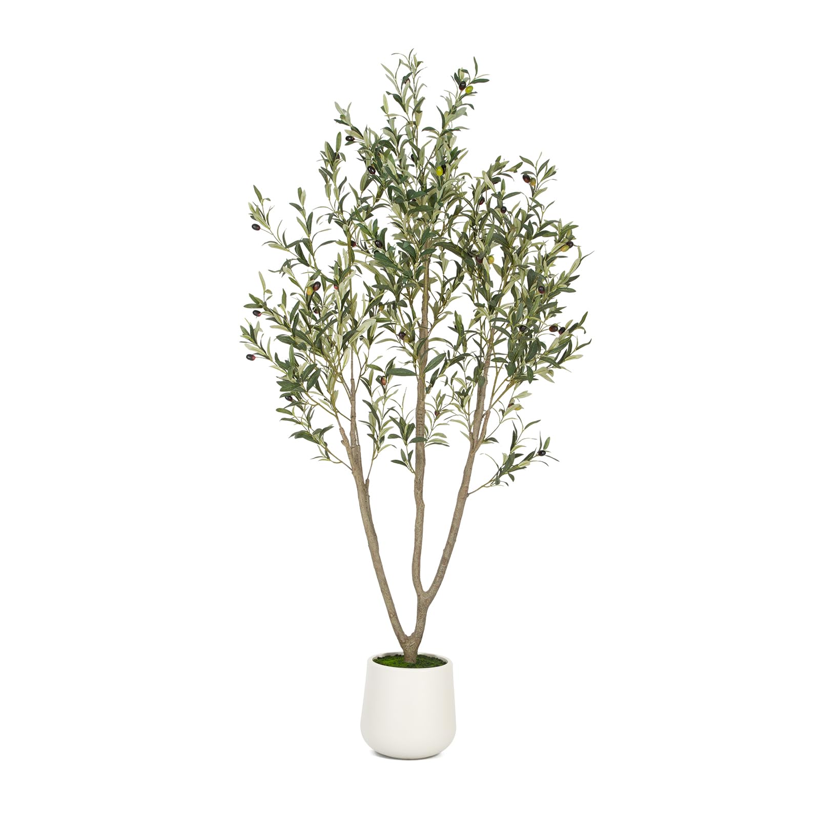 VIVATREES Olive Trees Artificial Indoor, 5FT Tall Faux Olive Tree with White Tall Planter, Artificial Plants with Natural Wood Trunk and Lifelike Fruits for Home Office Decor
