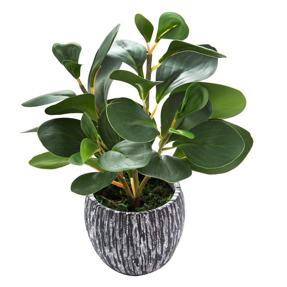 AlphaAcc Fake Plants Potted Artificial Succulents Home Office Decor | Artificial plants with rustic black clay planter ideal bathroom kitchen office farmhouse desk living room indoor decor
