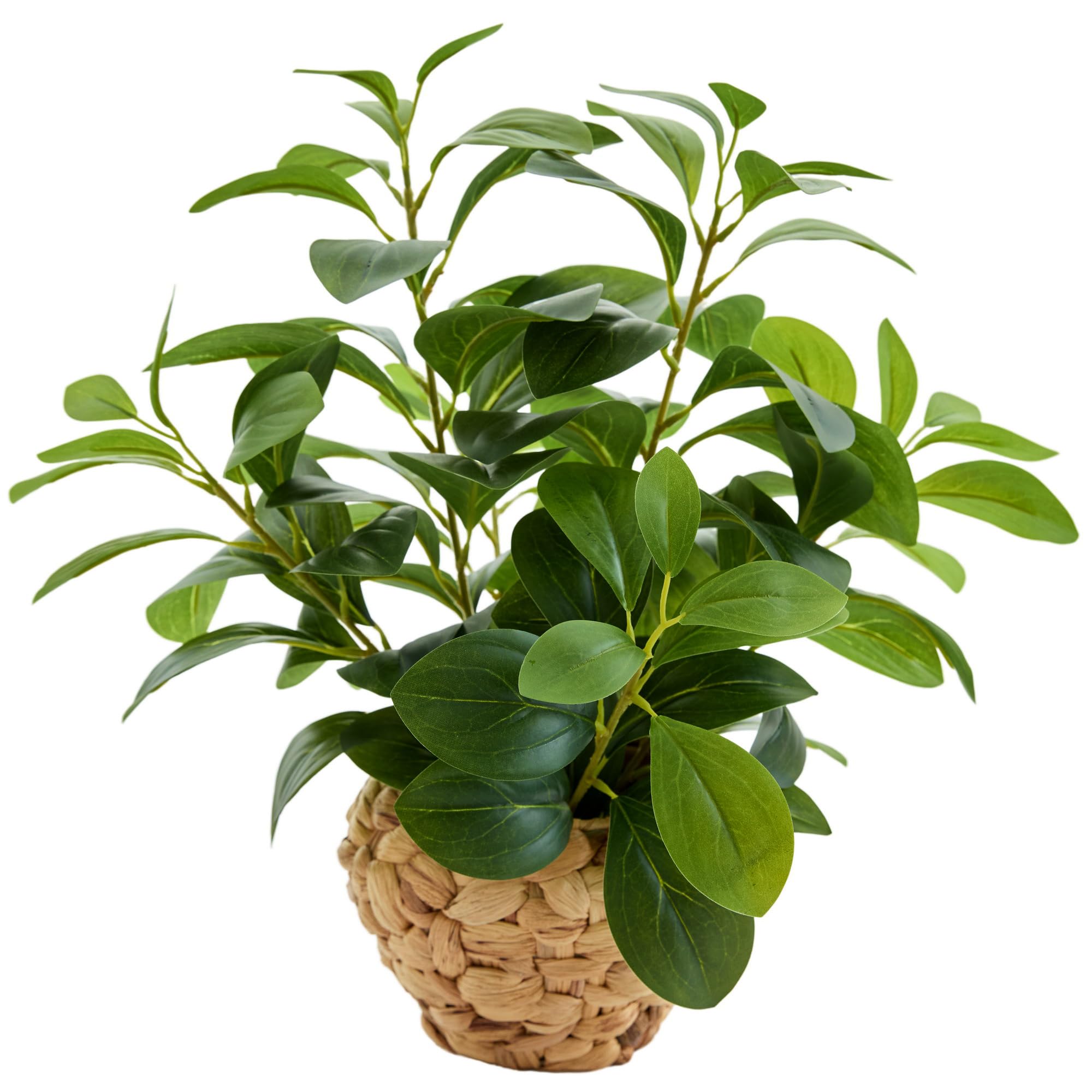 AlphaAcc Fake Plants Potted Artificial Succulents Home Office Decor | Artificial plants with rustic black clay planter ideal bathroom kitchen office farmhouse desk living room indoor decor