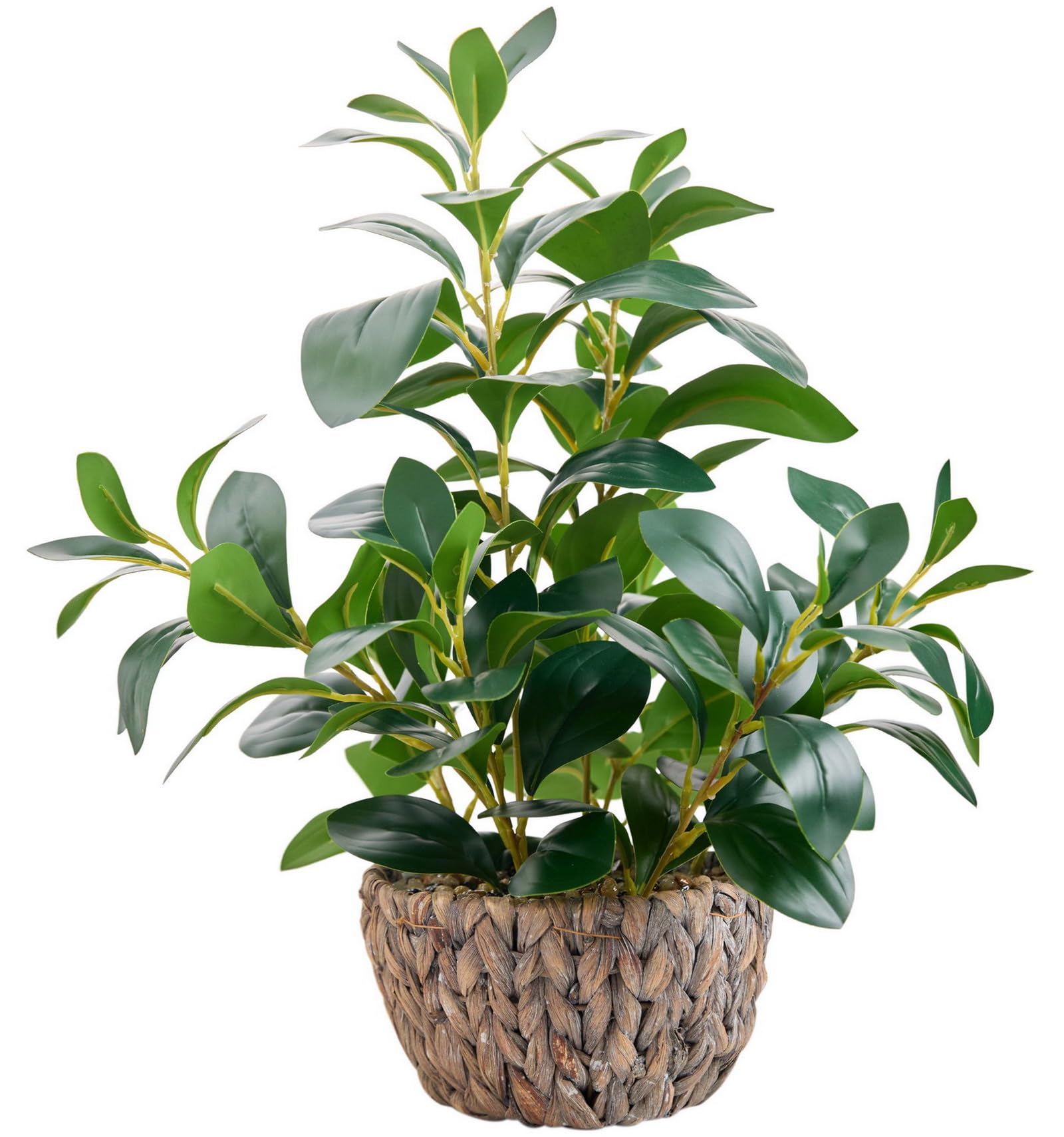 AlphaAcc Fake Plants Potted Artificial Succulents Home Office Decor | Artificial plants with rustic black clay planter ideal bathroom kitchen office farmhouse desk living room indoor decor