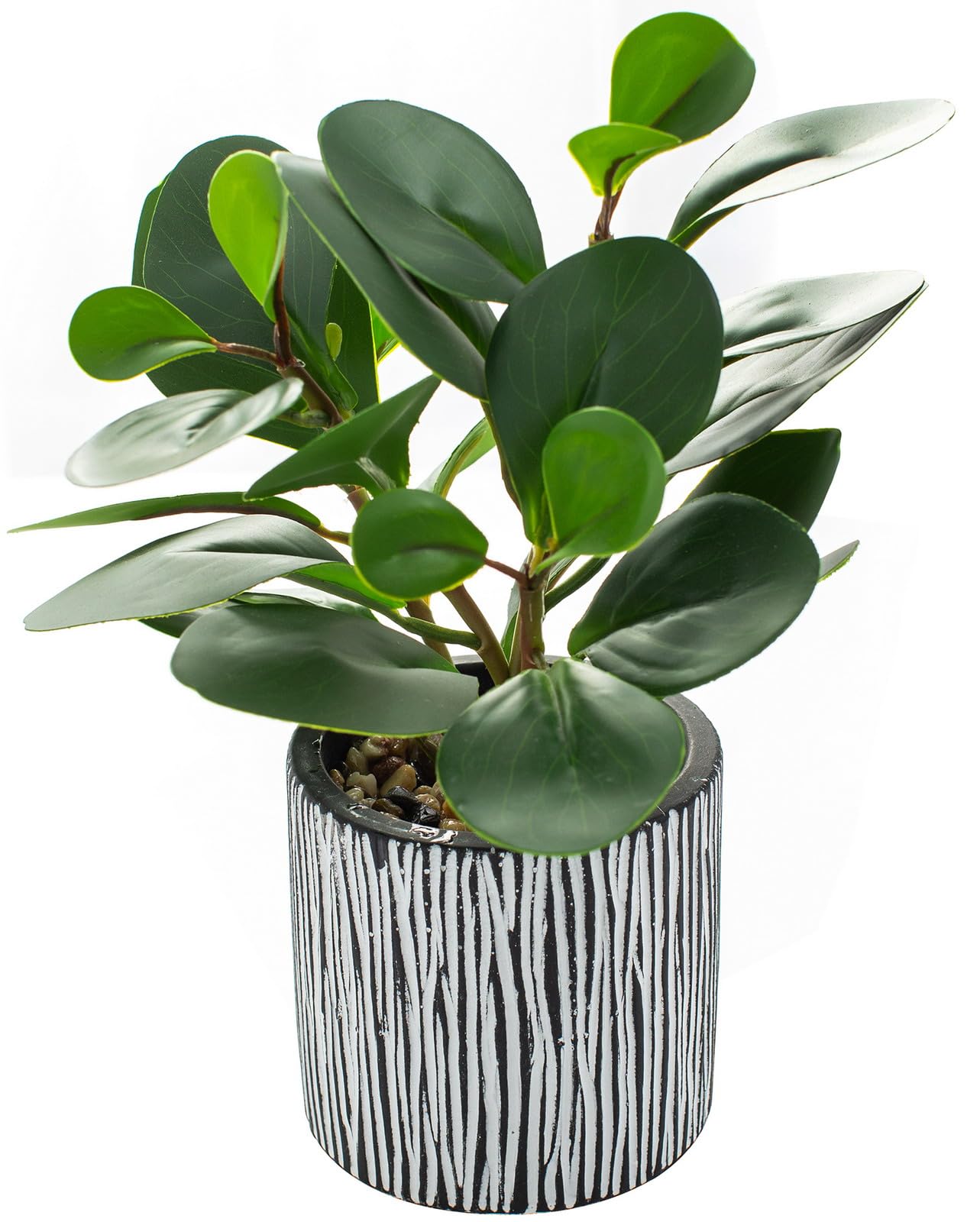 AlphaAcc Fake Plants Potted Artificial Succulents Home Office Decor | Artificial plants with rustic black clay planter ideal bathroom kitchen office farmhouse desk living room indoor decor