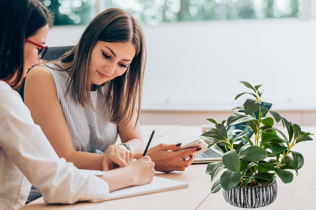 AlphaAcc Fake Plants Potted Artificial Succulents Home Office Decor | Artificial plants with rustic black clay planter ideal bathroom kitchen office farmhouse desk living room indoor decor